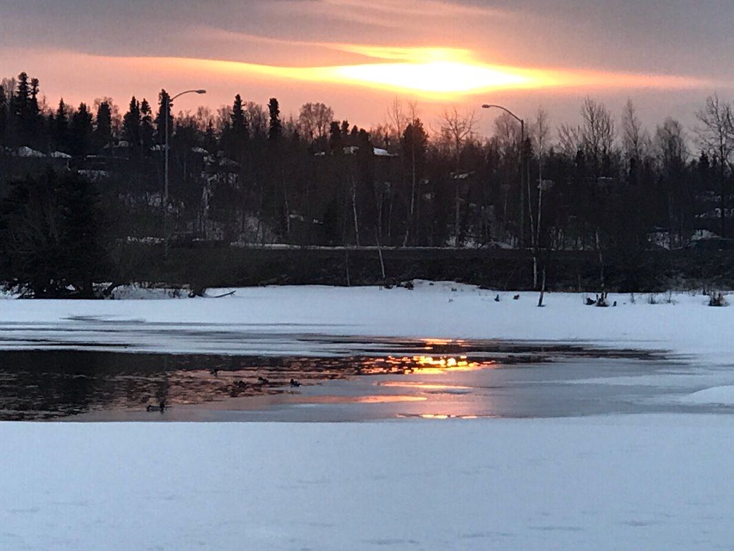 walking near me in Margaret Eagan Sullivan Park in winter