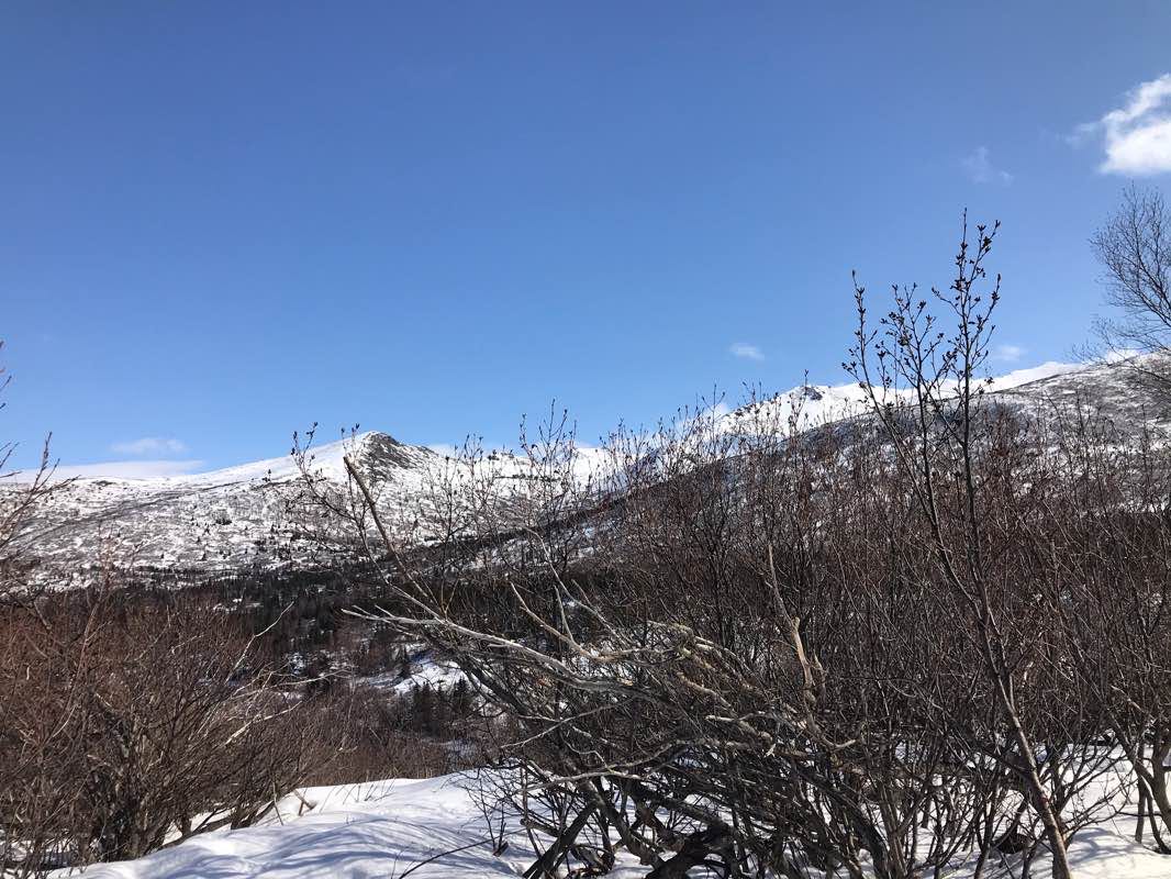 walking near me in Far North Bicentennial Park in winter
