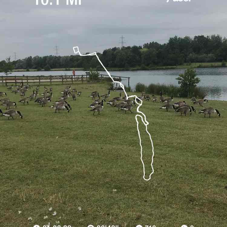 darrendennison post 1