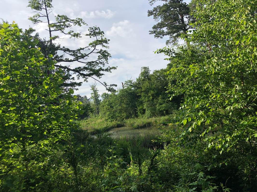 walking near me in Neuse River Greenway in winter