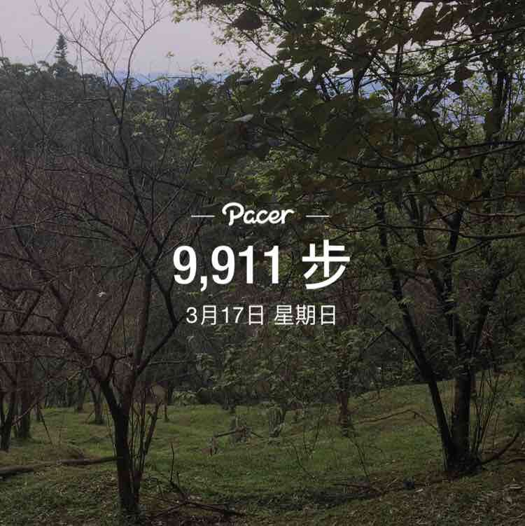 震中 post 1