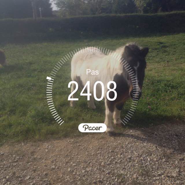 papygeorges.vasselin post 1