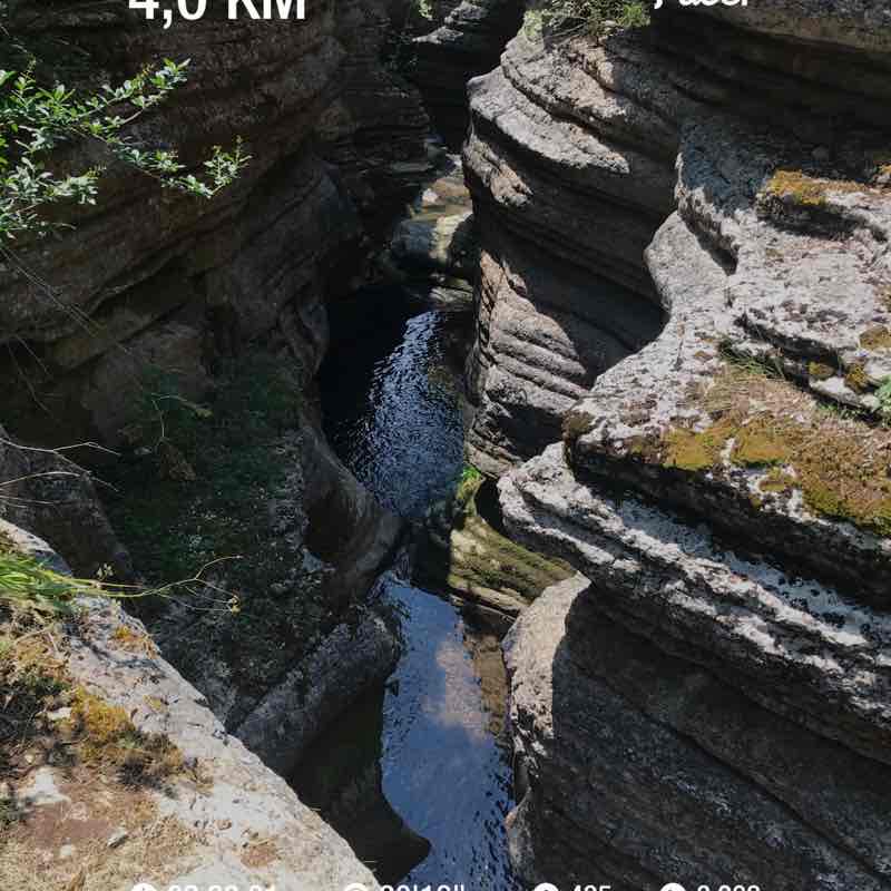 Saša Vlajković post 1