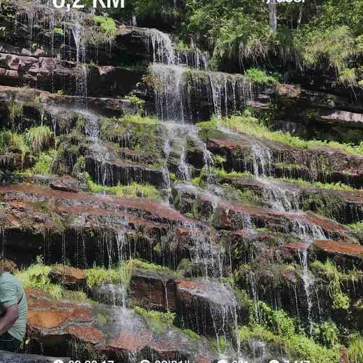 Saša Vlajković post 1