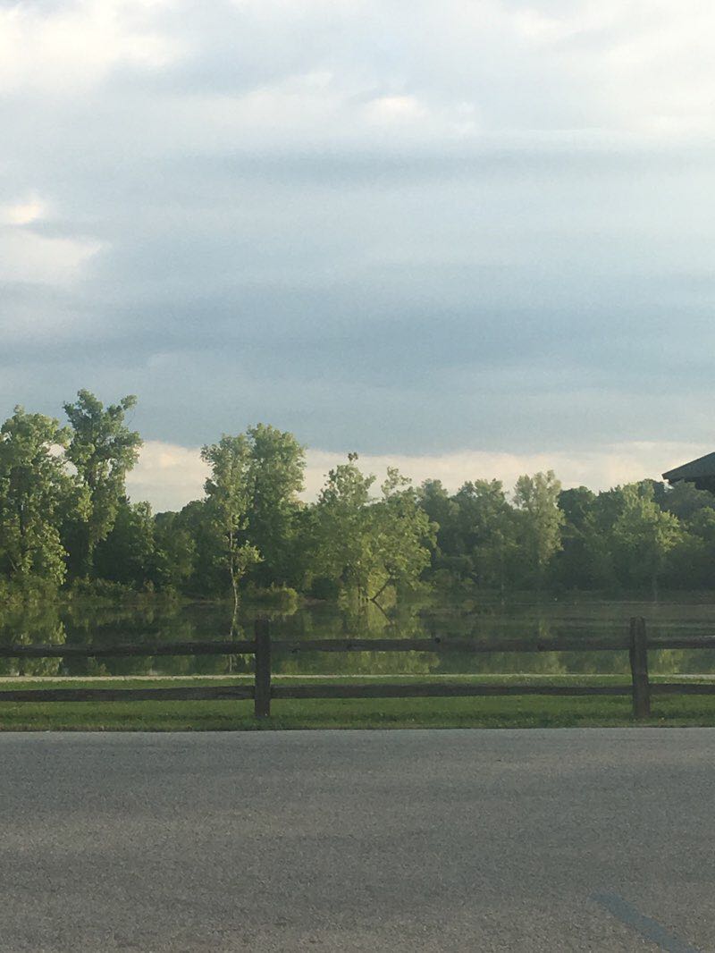 walking near me in Maple Avenue Nature Park in winter