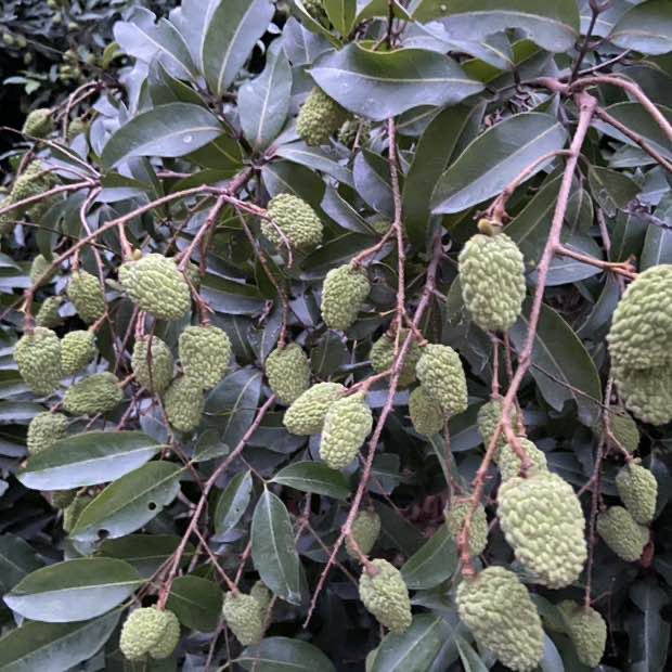 乐观自信爱 post 2