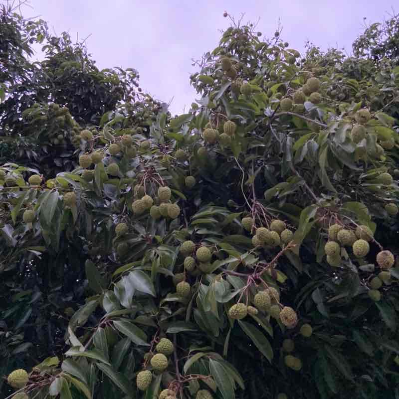 乐观自信爱 post 3