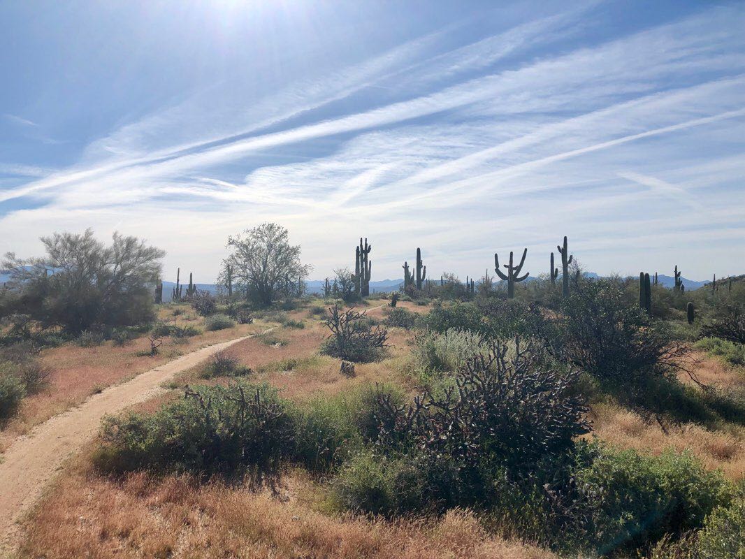 walking near me in McDowell Mountain Regional Park in winter