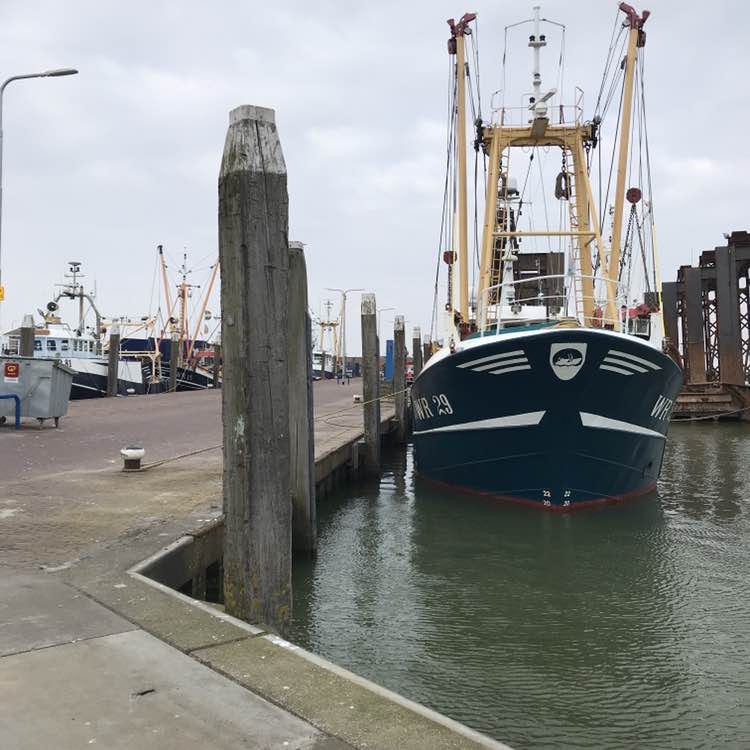 Arno van Dalsum post 1