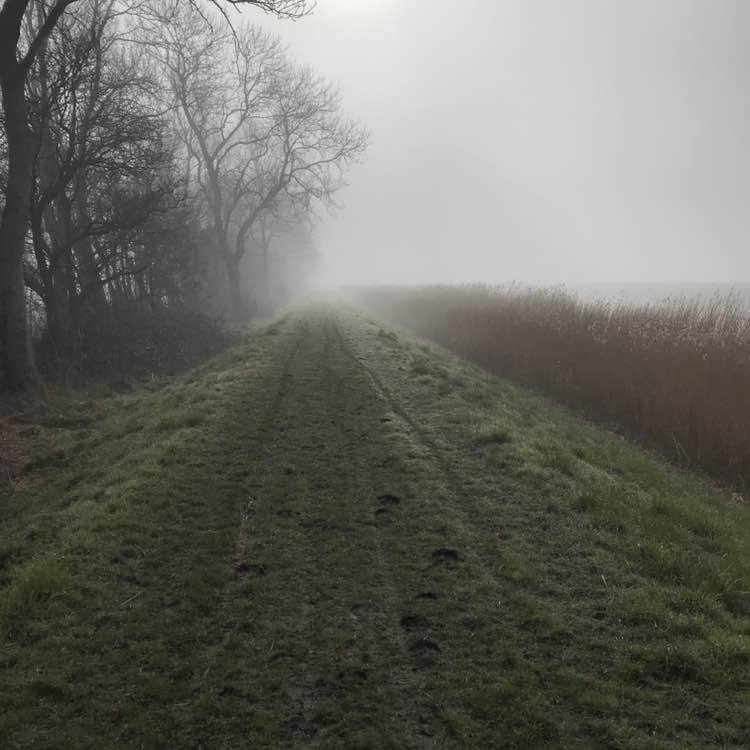 Arno van Dalsum post 1