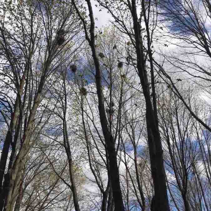 Gulnara_run🇷🇺⛰ post 3