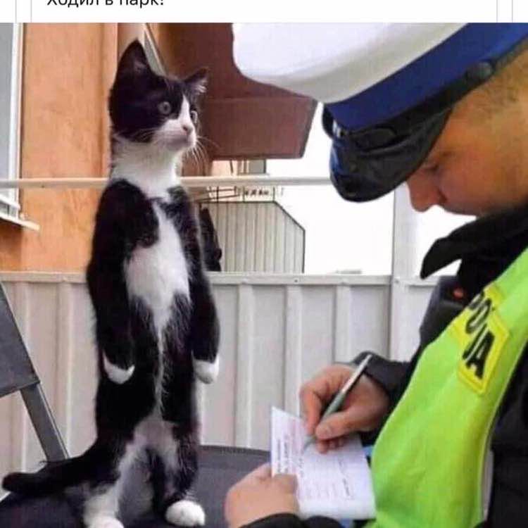 Gulnara_run🇷🇺⛰ post 1