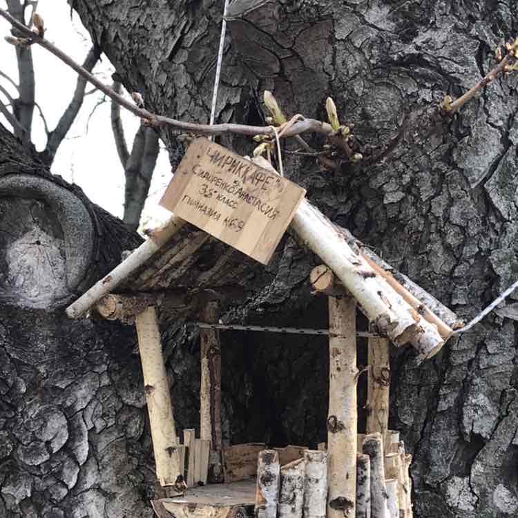 Gulnara_run🇷🇺⛰ post 2