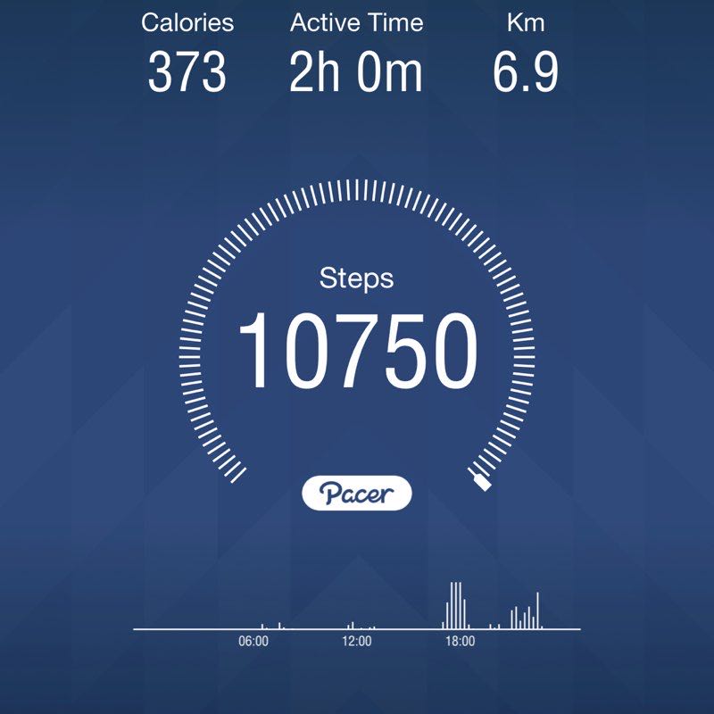 PacerGal_1988 post 1