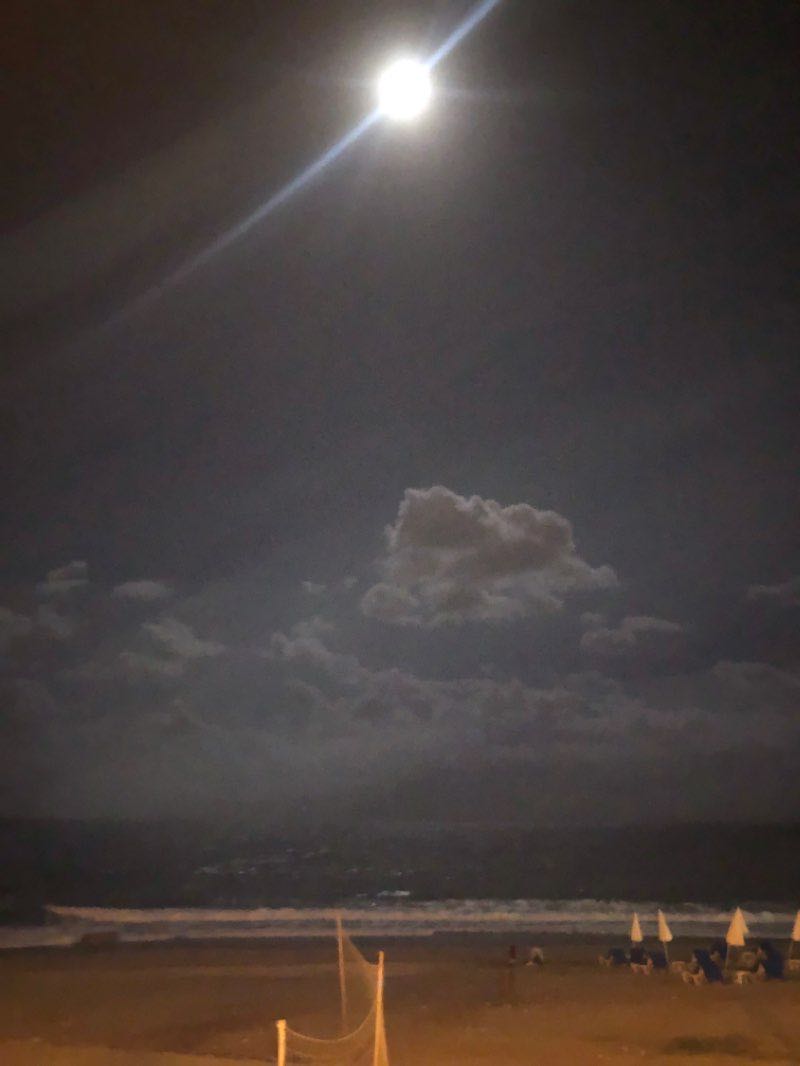 walking near me in Alanya Belediyesi Kedi Parkı in winter