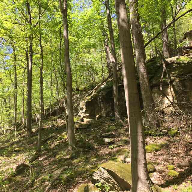 MtnGrrl✨💖♐️ post 2