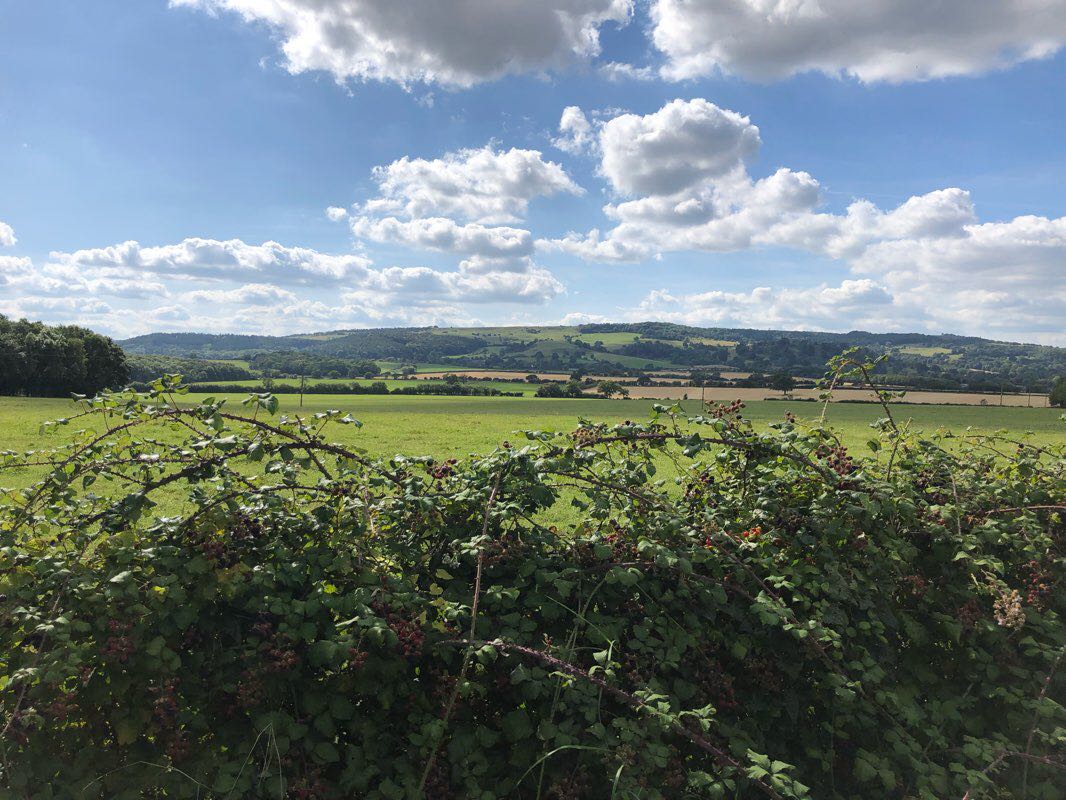 walking near me in Workman Gardens in winter