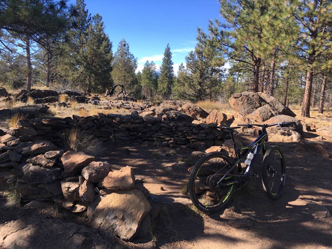 walking near me in Village Green City Park in winter