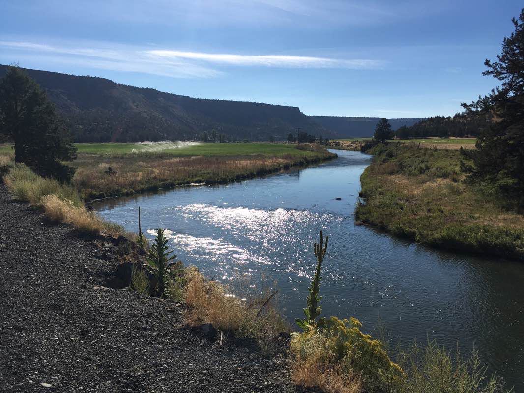 walking near me in Crooked River Park in winter