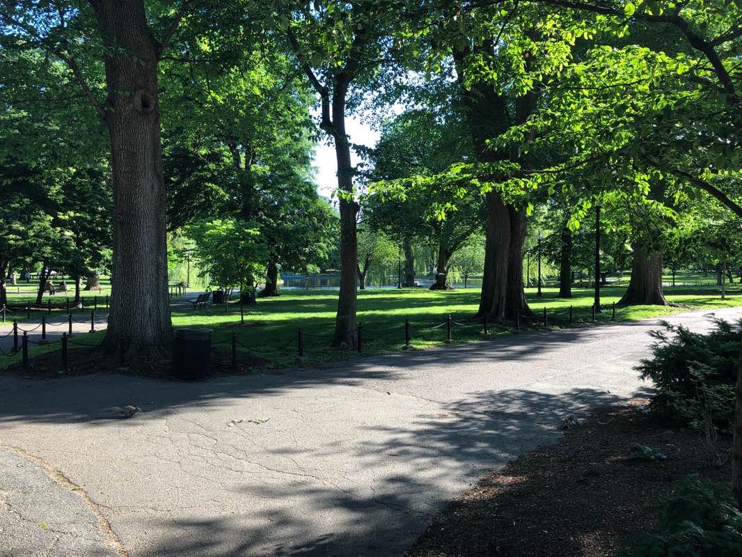 walking near me in Boston Public Garden in winter