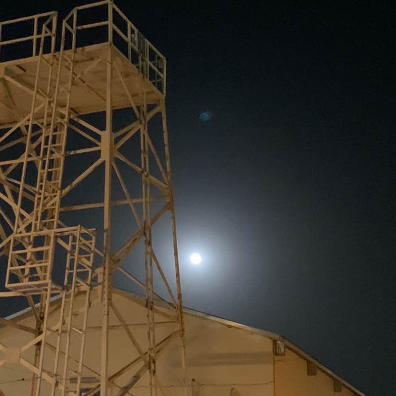 TheWalker_1979 🇺🇸 post 1