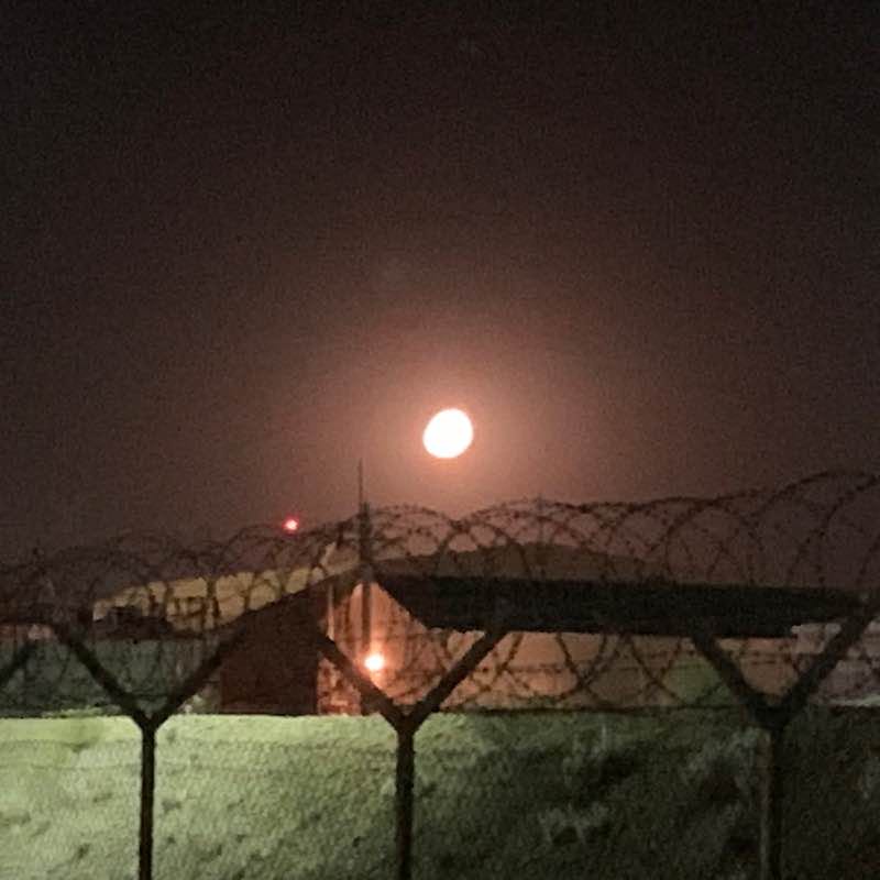 TheWalker_1979 🇺🇸 post 2