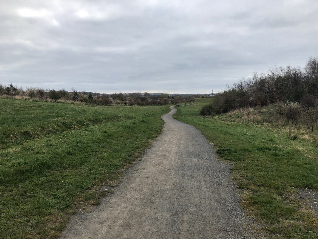 walking near me in Elba Park in winter