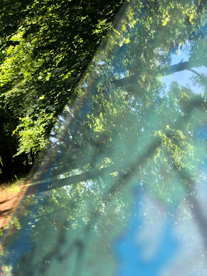 walking near me in Red Top Mountain State Park in winter