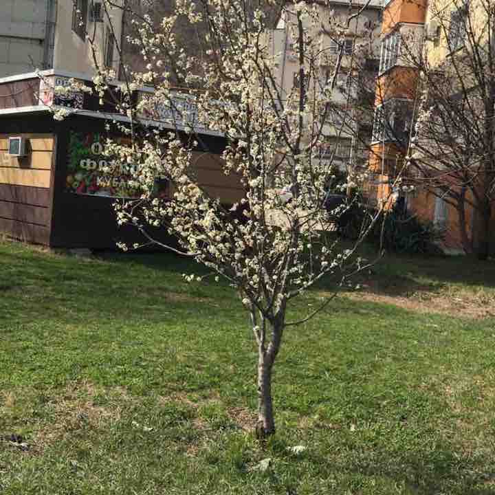 Марина Осадчая post 3