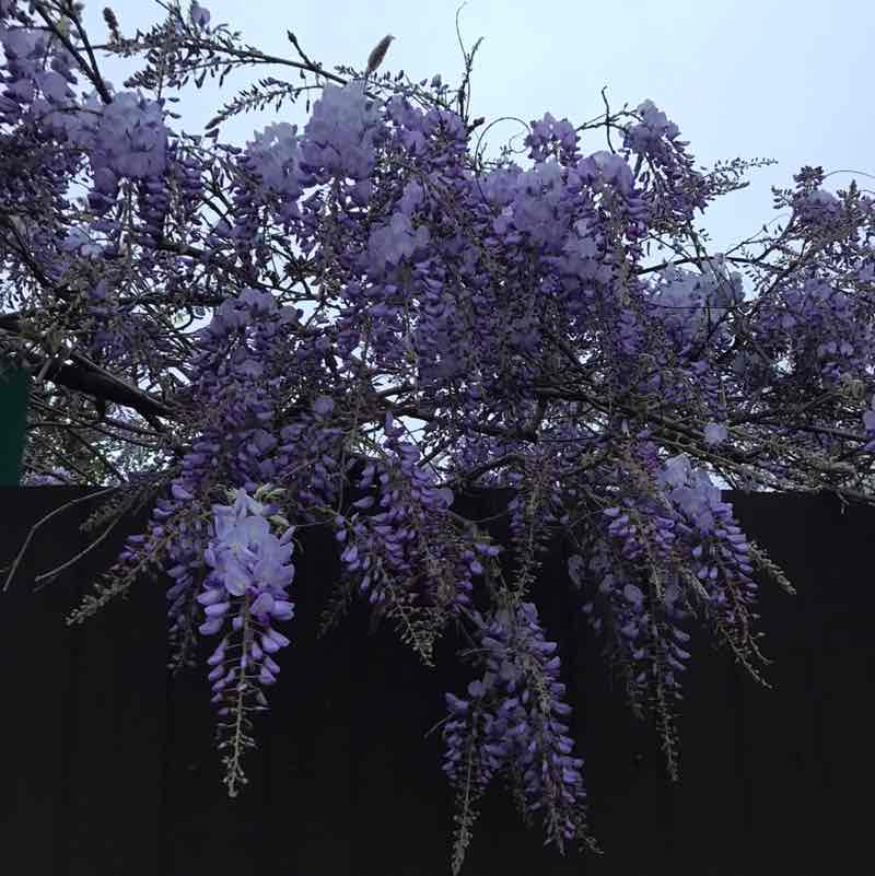 Марина Осадчая post 2