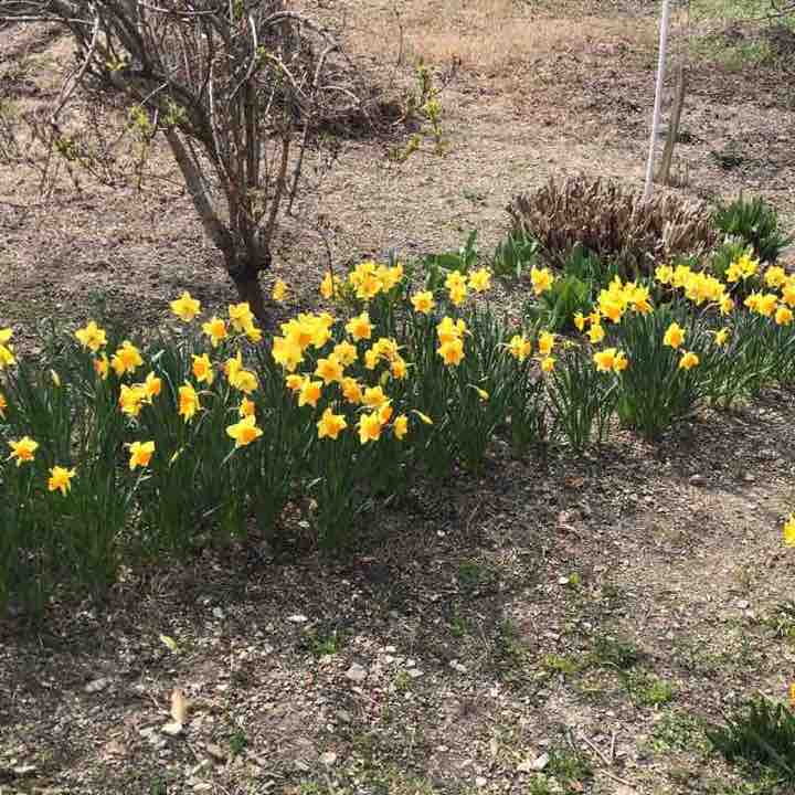 Марина Осадчая post 1