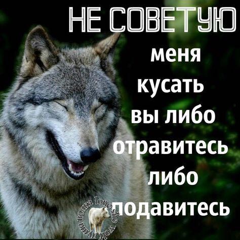 Марина Осадчая post 3