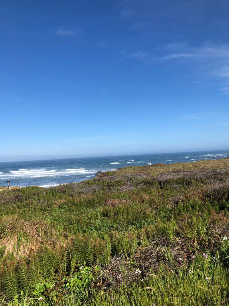 walking near me in MacKerricher State Park in winter