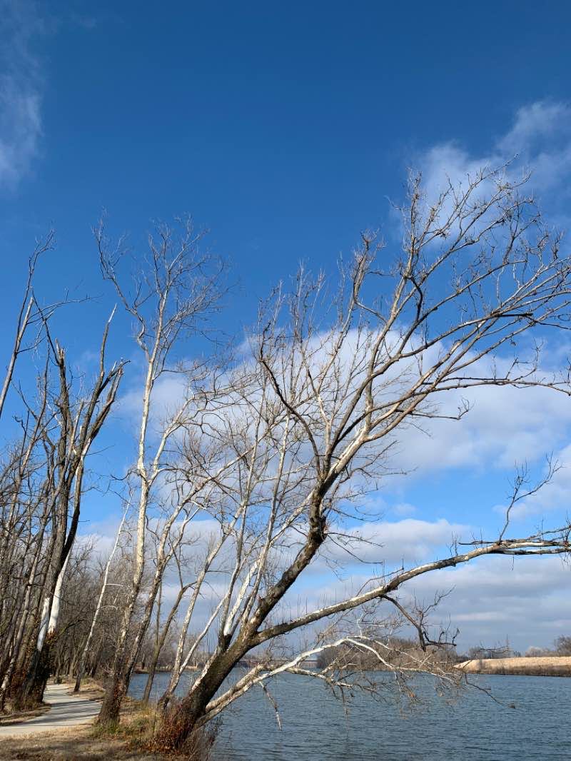 walking near me in South Park in winter