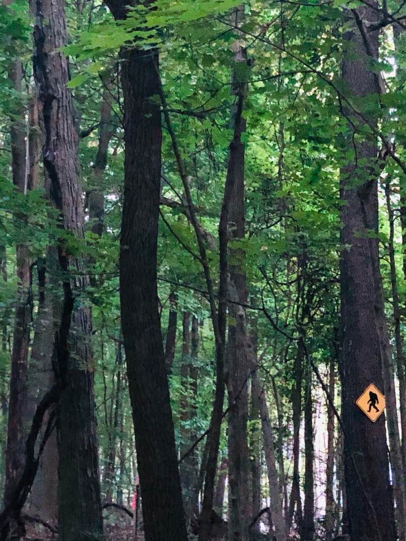walking near me in Rogue River Park in winter