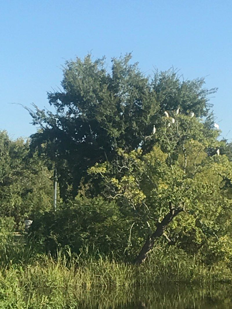 walking near me in Joe Brown Memorial Park in winter