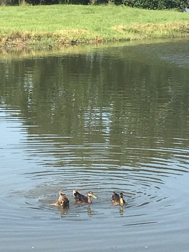walking near me in Pontiff Playground in winter