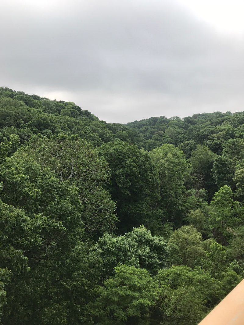 walking near me in Schenley Park in winter