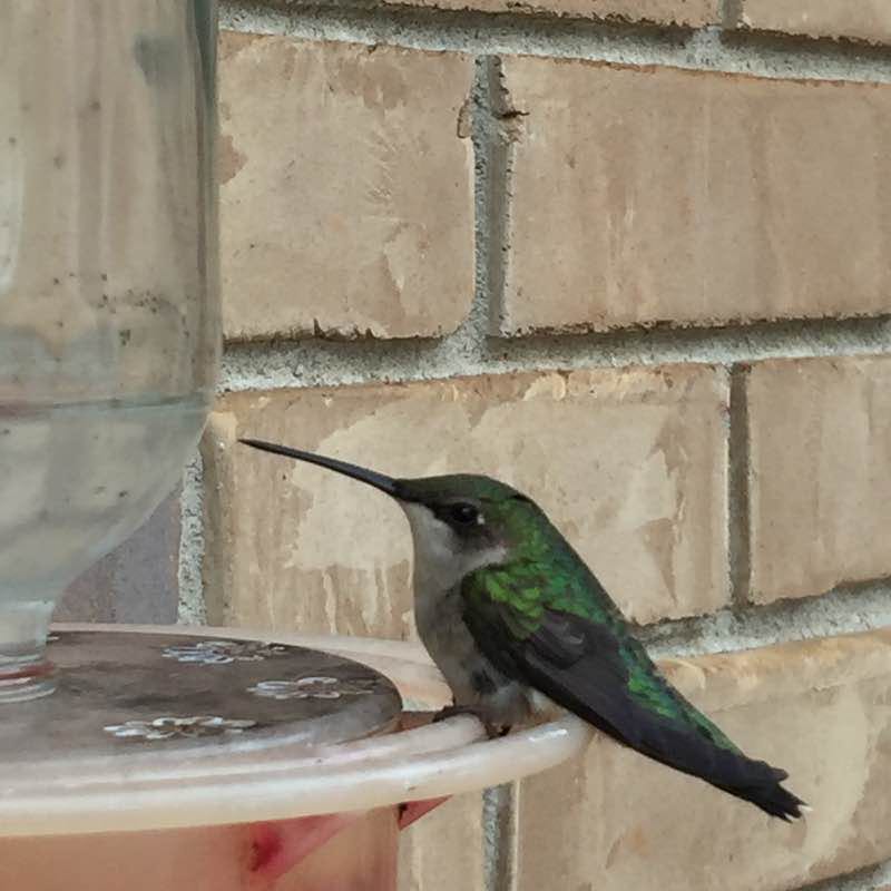 run forrest61 post 1