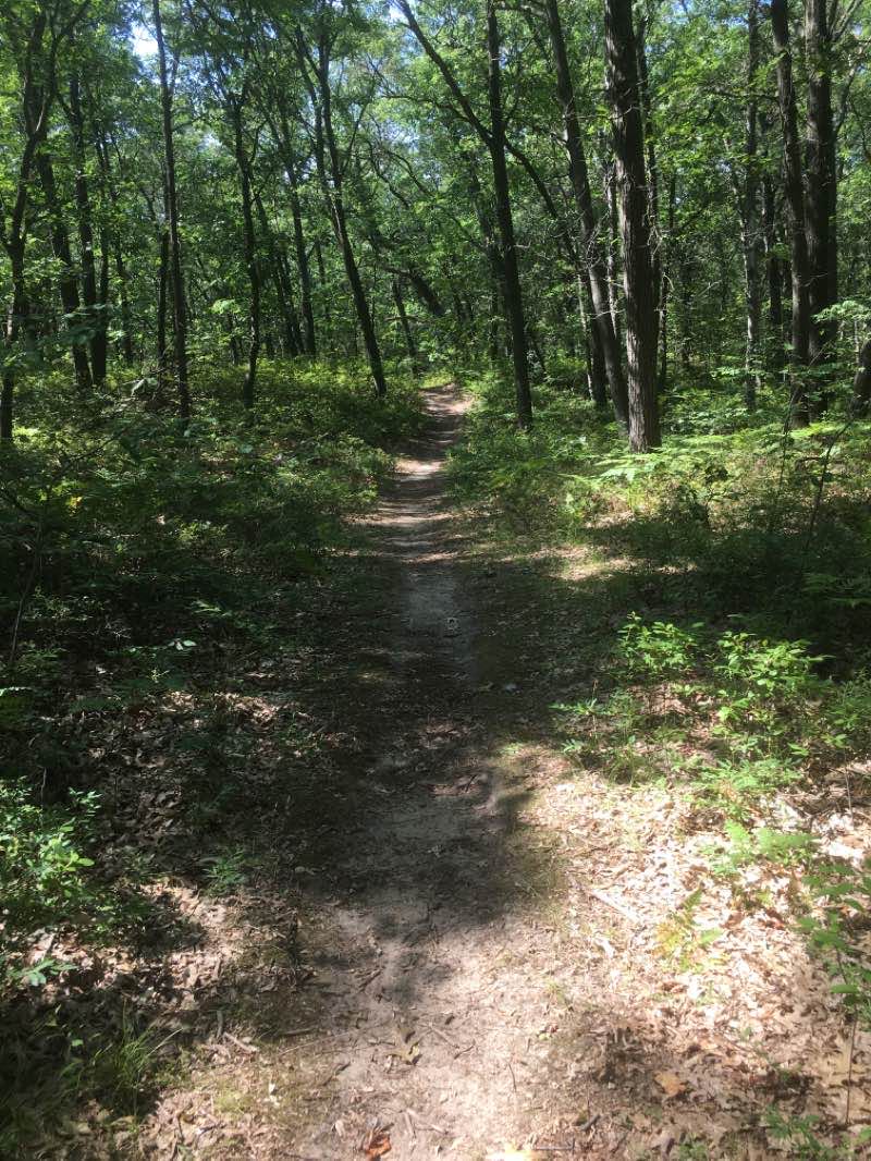 walking near me in Port Crescent State Park in winter