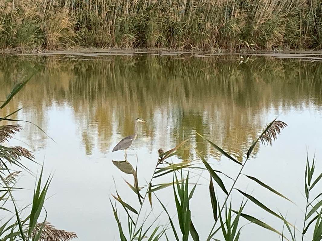 walking near me in Fort Gratiot Park in winter