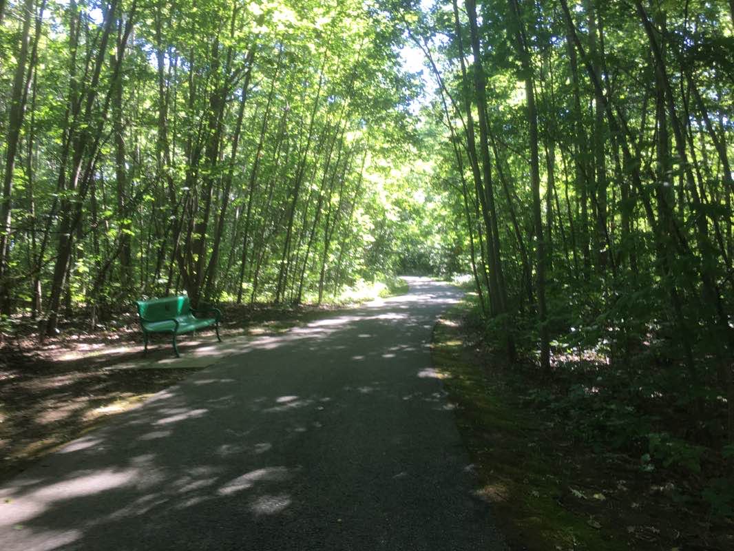 walking near me in Fort Gratiot County Park in winter