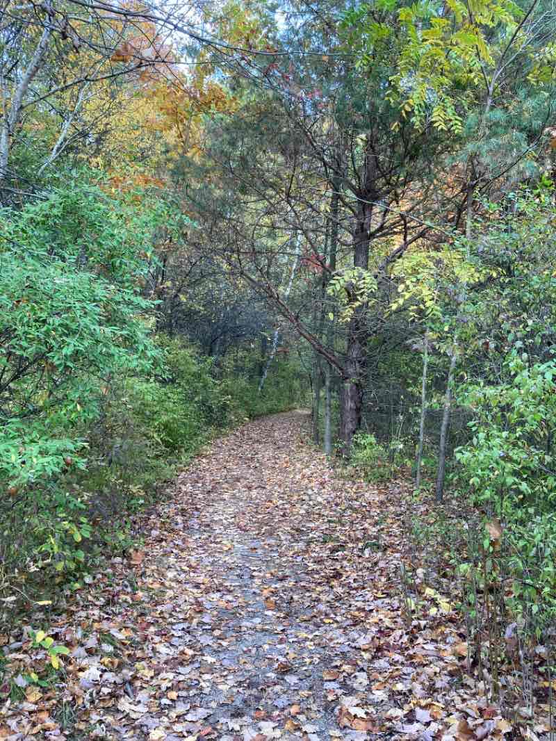 walking near me in Greig Park in winter