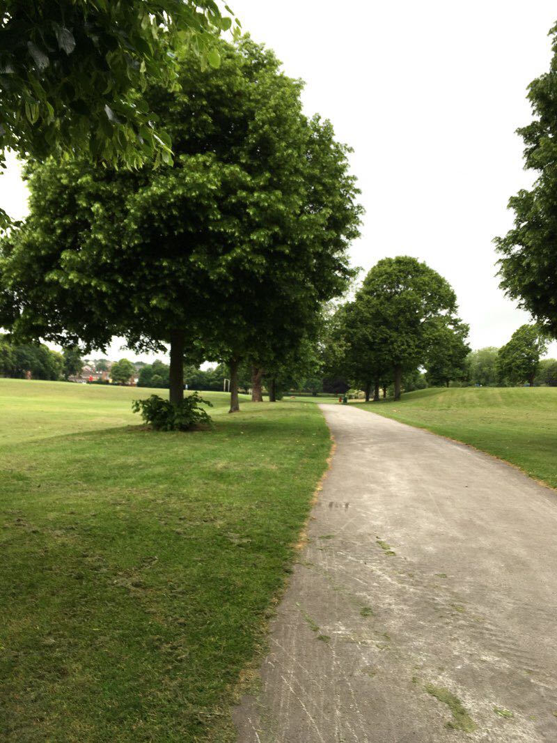 walking near me in King George V Park in winter