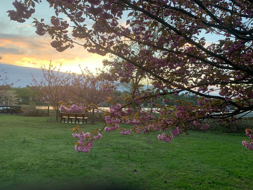walking near me in Our Lady Queen of Martyrs Park in winter