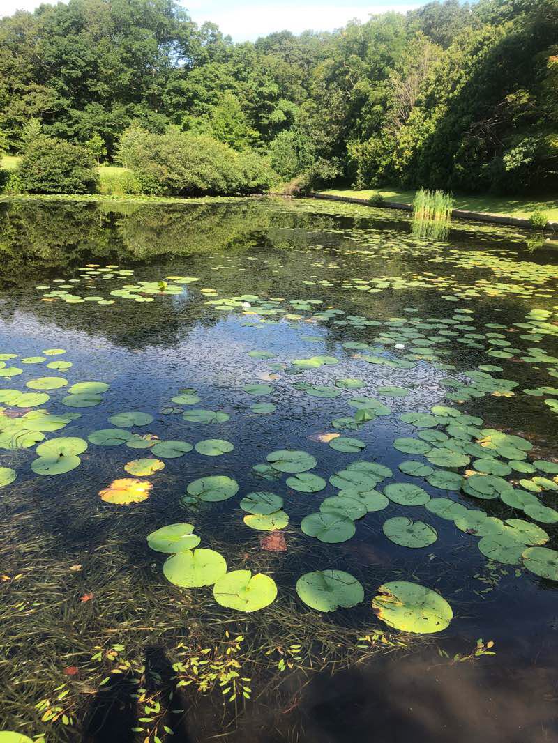 walking near me in Echo Lake Recreational Facility in winter