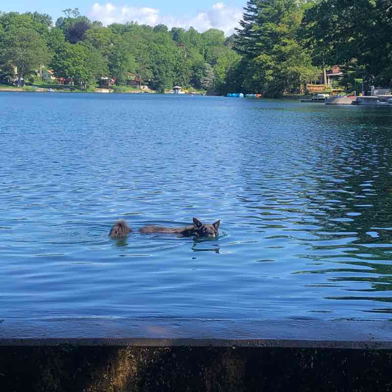 Rui 🇺🇸🇵🇹 post 1