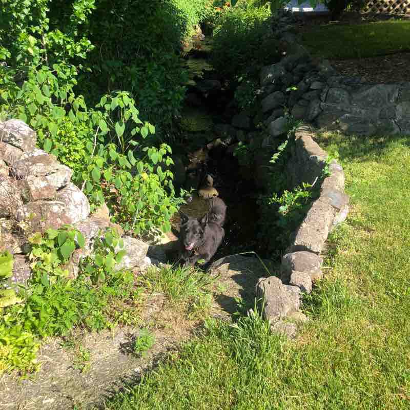 Rui 🇺🇸🇵🇹 post 2