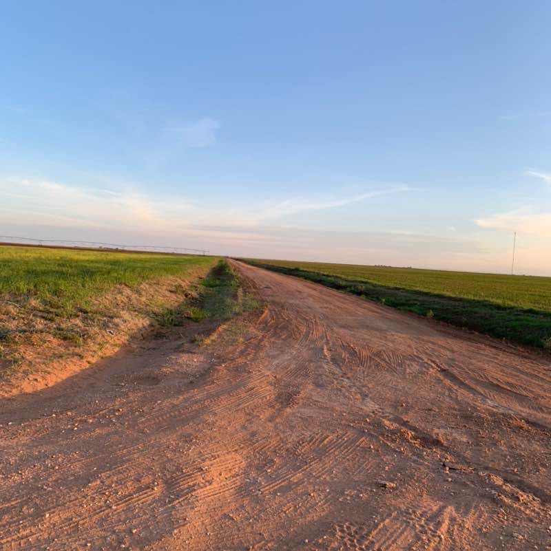 cruztrodriguez post 2