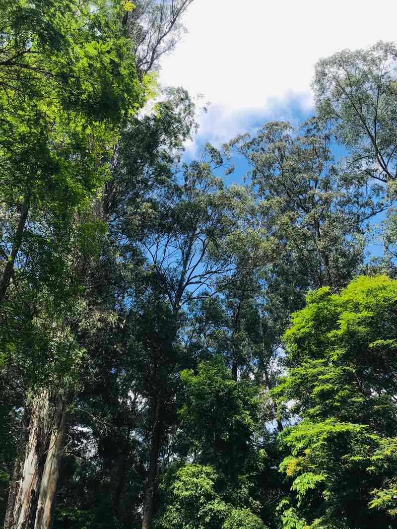 walking near me in Parque do Povo in summer